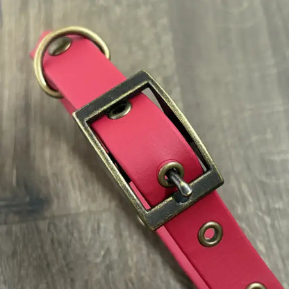 Crimson Red Waterproof Dog Collar
