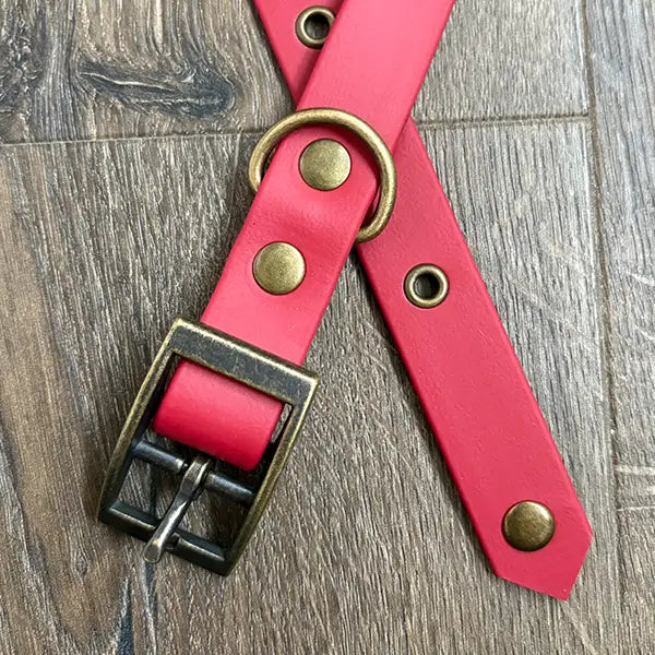 Crimson Red Waterproof Dog Collar