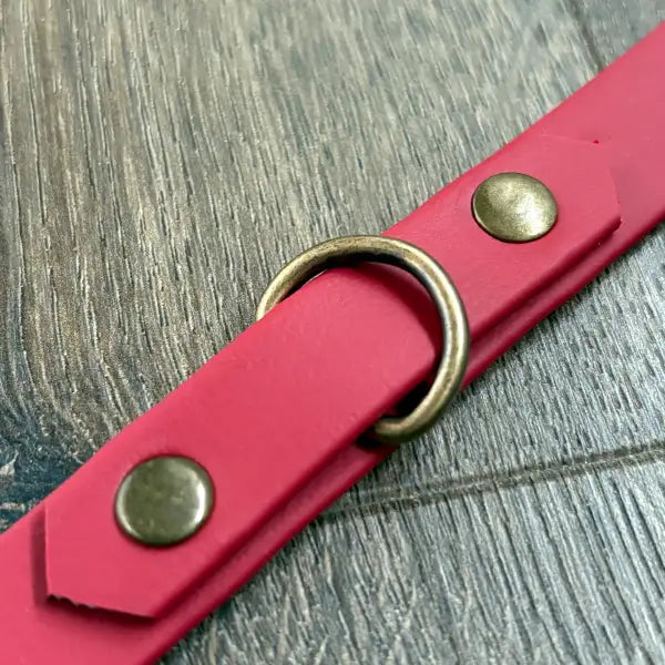Crimson Red Waterproof Dog Collar