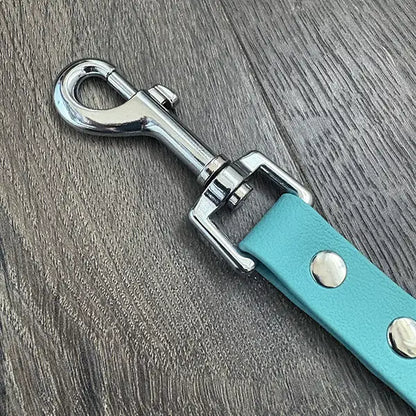 Dusty Turquoise Waterproof Dog Lead