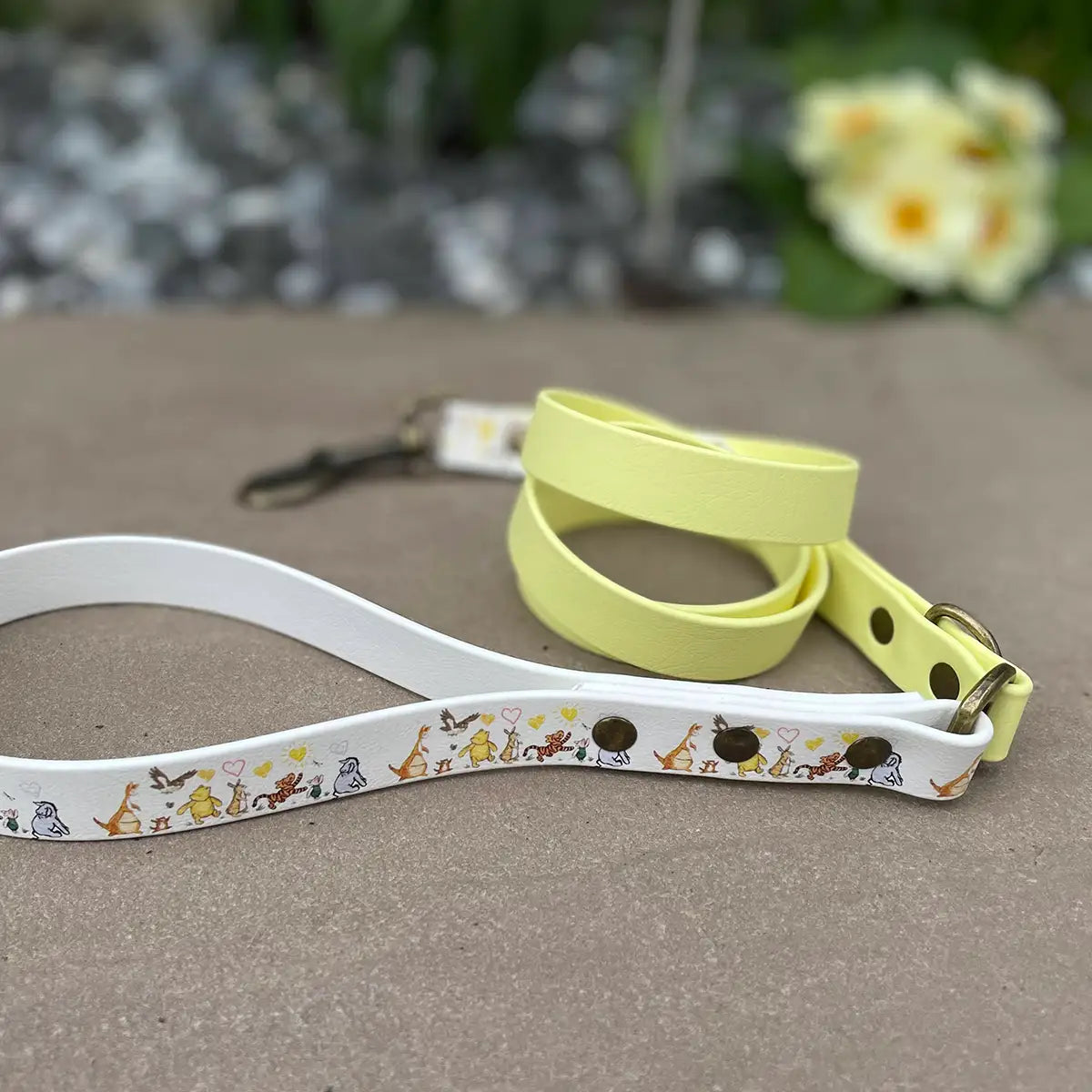 Patterned Waterproof Dog Leads
