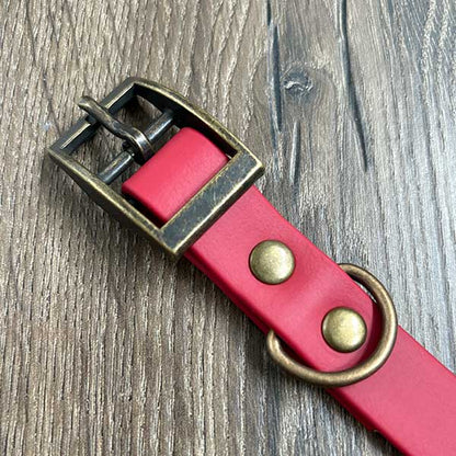 Flowers in Autumn Patterned Dog Collar