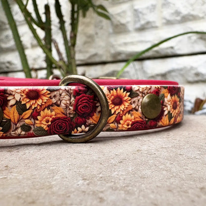 Flowers in Autumn Patterned Dog Collar