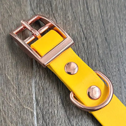 For the Love of Bees Patterned Dog Collar