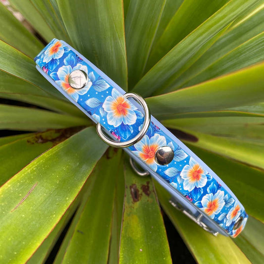 Frosty Florals Patterned Dog Collar