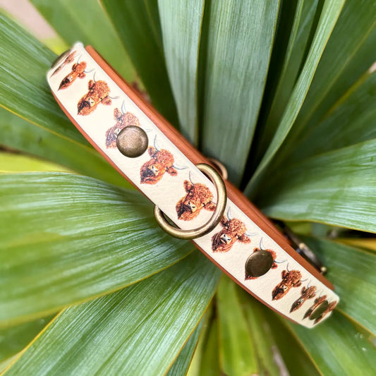 Highland Cattle Patterned Dog Collar