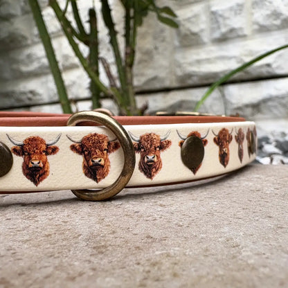 Highland Cattle Patterned Dog Collar