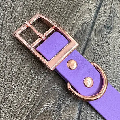 Lots of Love Patterned Dog Collar