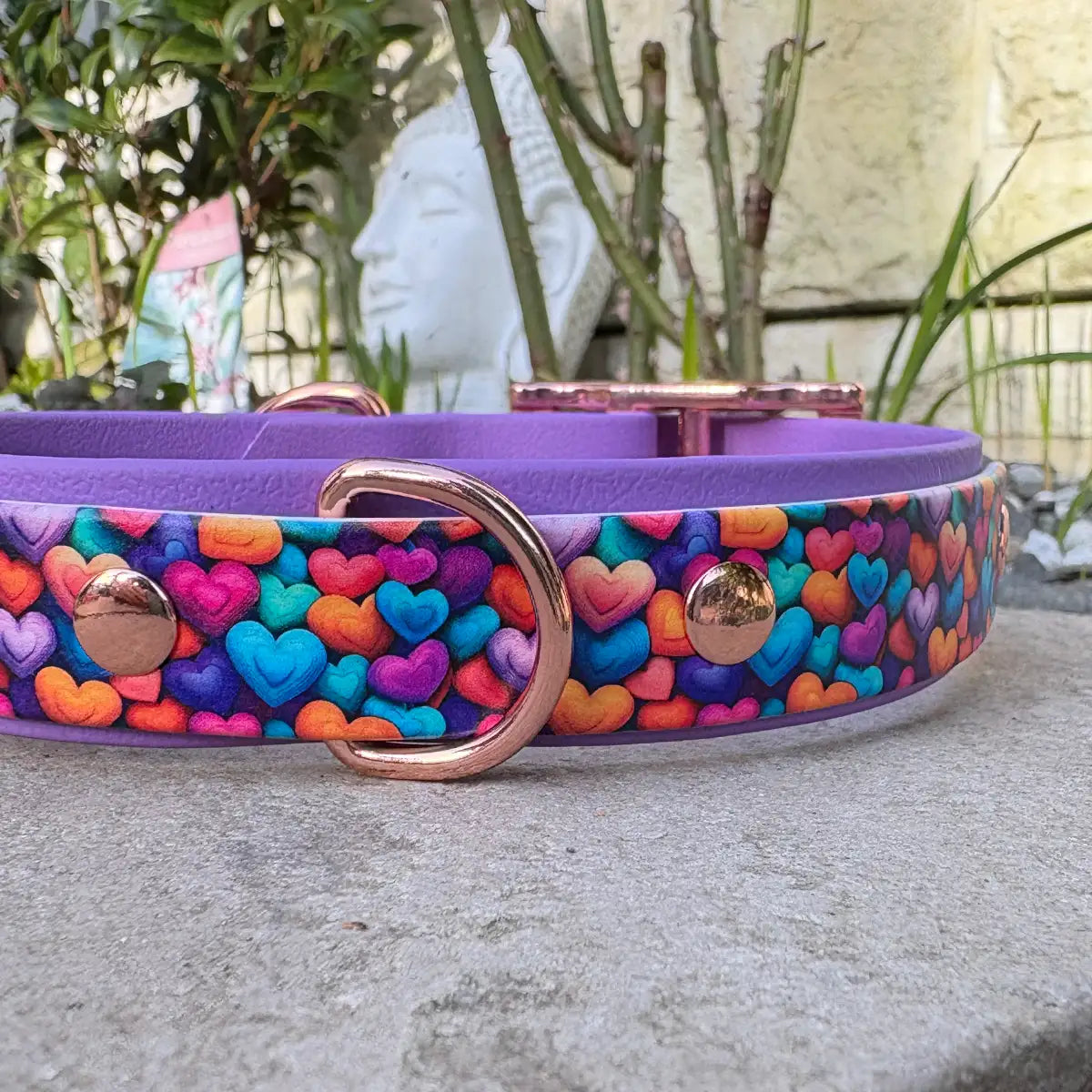 Lots of Love Patterned Dog Collar