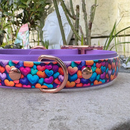Lots of Love Patterned Dog Collar