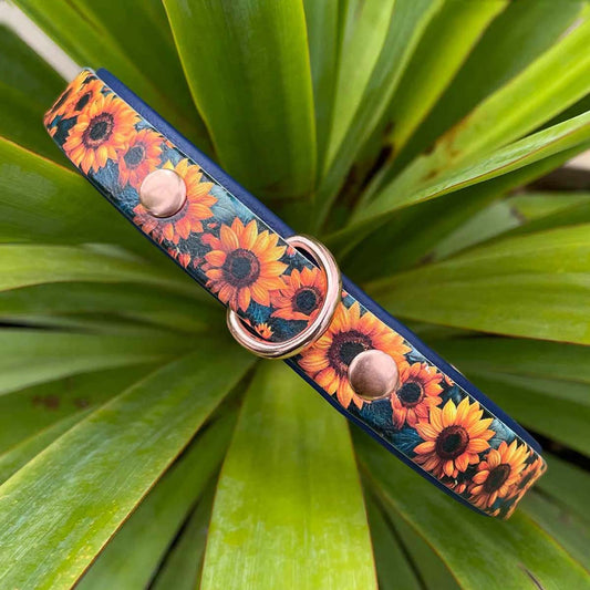 Midnight Sunflowers Patterned Dog Collar