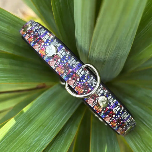 Mr Juice is Loose Patterned Dog Collar (Limited)