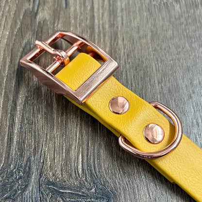 Mustard Yellow Waterproof Dog Collar