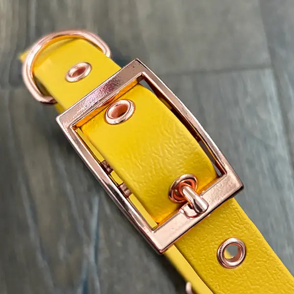 Mustard Yellow Waterproof Dog Collar