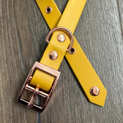 Mustard Yellow Waterproof Dog Collar