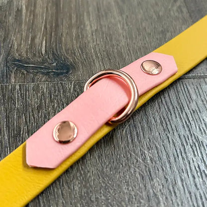 Mustard Yellow Waterproof Dog Collar