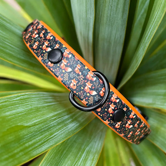 Playful Foxes Patterned Dog Collar