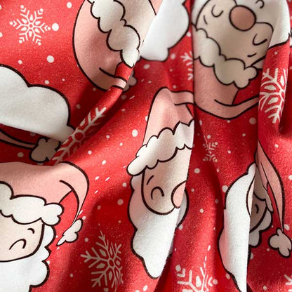You & Pup Santa Stop Here Blanket