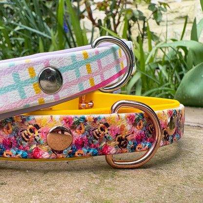 For the Love of Bees Patterned Dog Collar