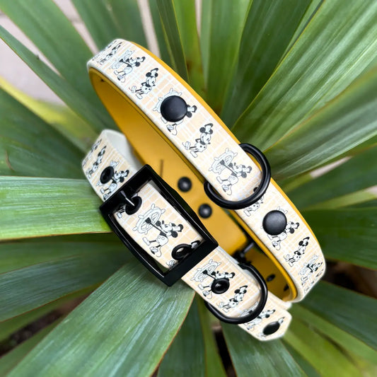 Steamboat Mickey Patterned Dog Collar