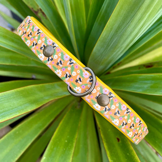 The Bees Knees Patterned Dog Collar
