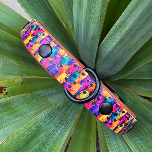 The Mystery Mutt Patterned Dog Collar