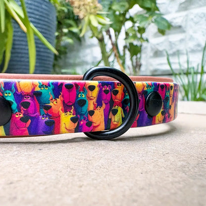 The Mystery Mutt Patterned Dog Collar