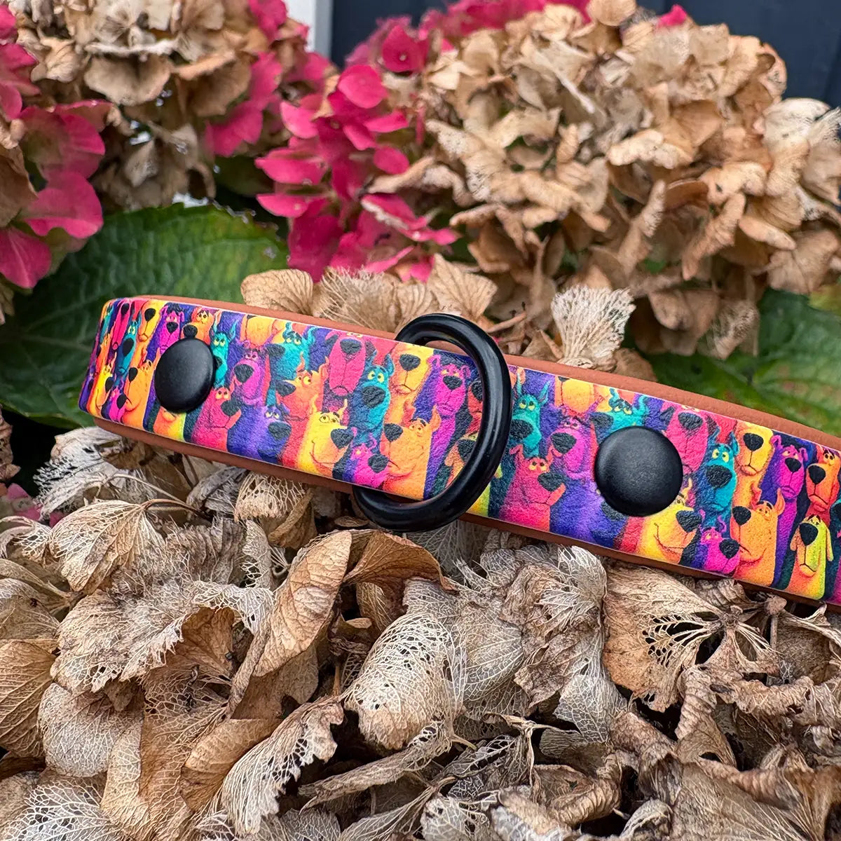 The Mystery Mutt Patterned Dog Collar