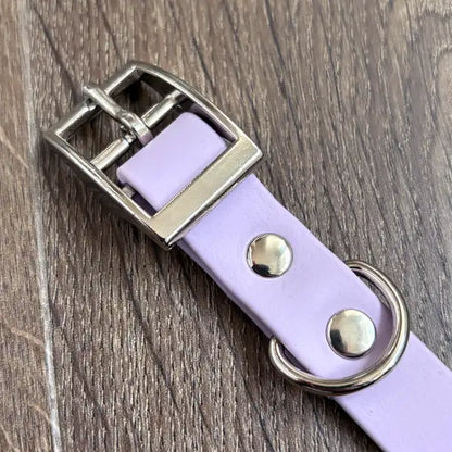 The Perfect Picnic Patterned Dog Collar
