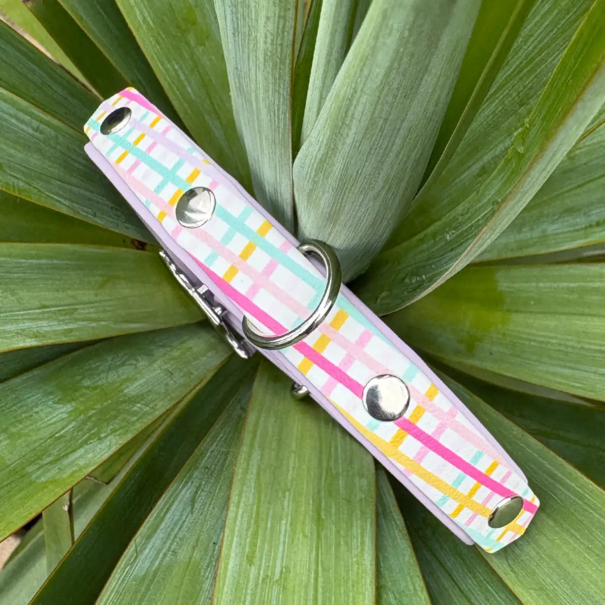 The Perfect Picnic Patterned Dog Collar