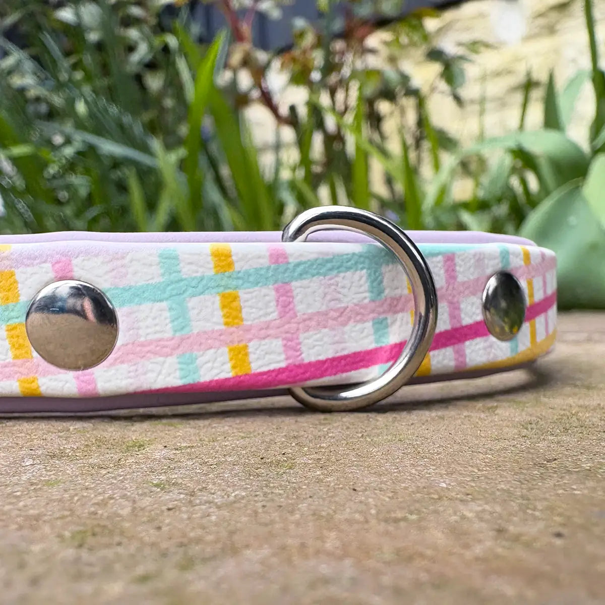 The Perfect Picnic Patterned Dog Collar