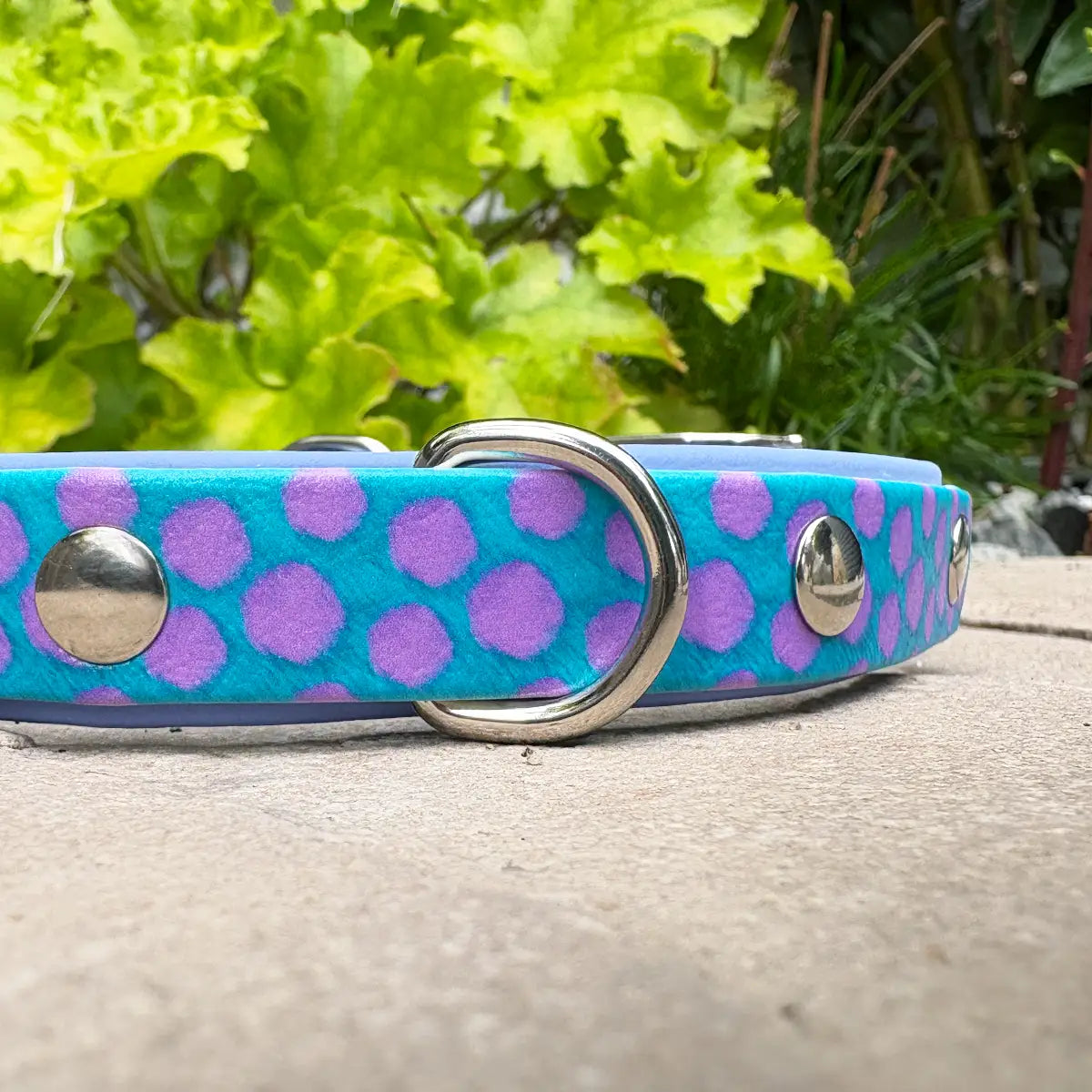 The Sullivan Patterned Dog Collar (Exclusive)