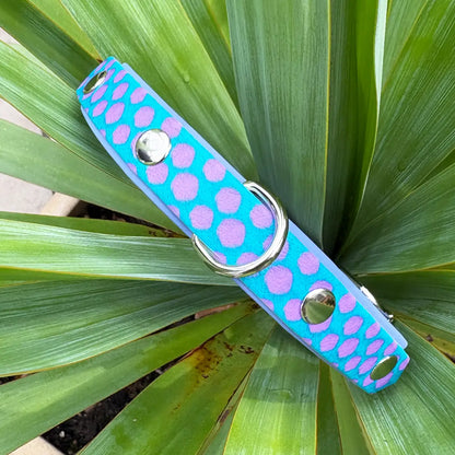 The Sullivan Patterned Dog Collar (Exclusive)